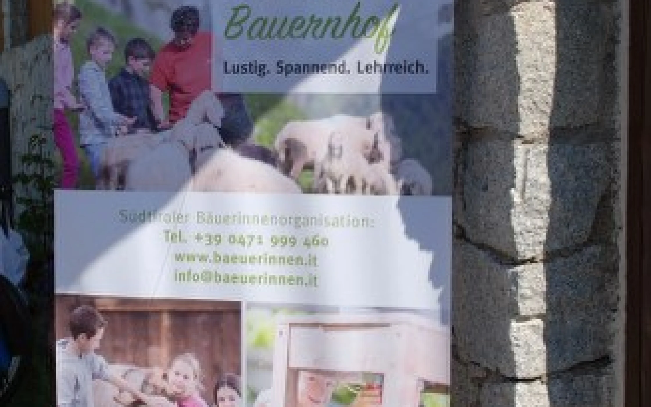 Kassinghof 9_327x600.JPG